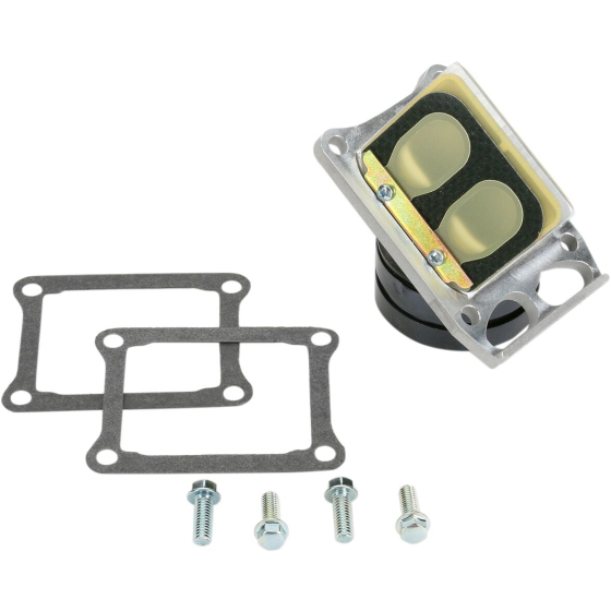 Карбонови клапани RAD BOYESEN RAD-01G