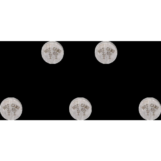 Клапанна шайба 7.48X2.65 5 бр. VERTEX 5PK748265