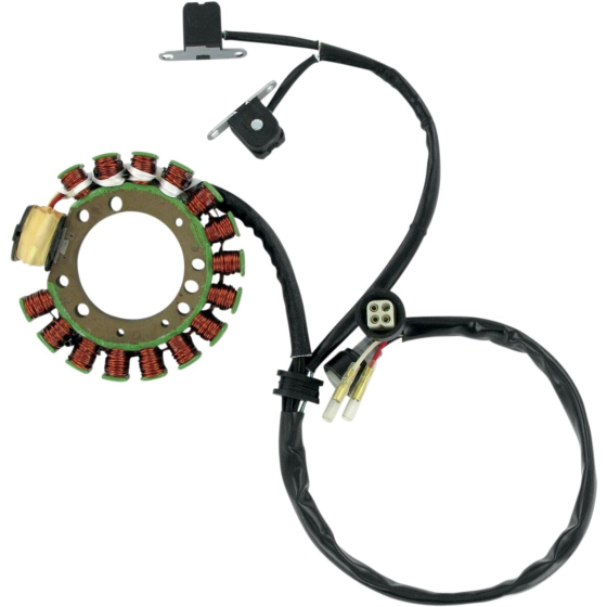 Статор OEM style RICK'S MOTORSPORT ELECTRICS 21-900