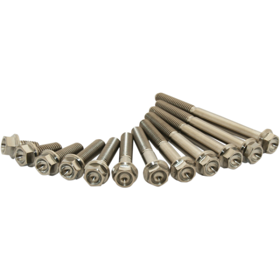 Титаниеви болтове SCAR M6X25мм - 2 броя