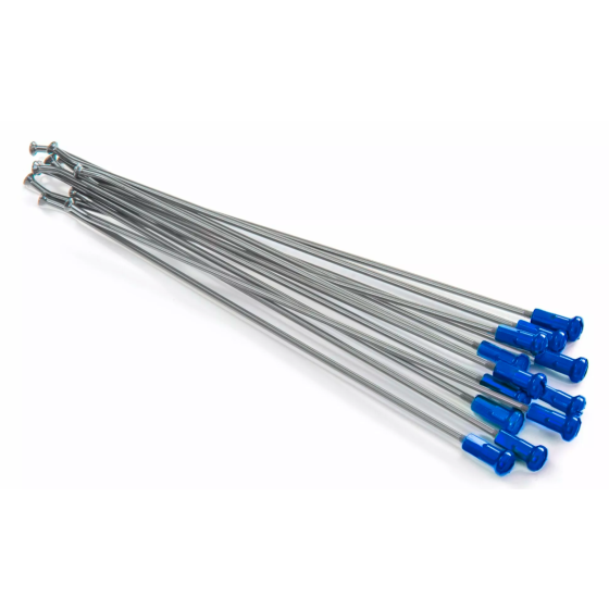 Спици KITE SPOKES 21'FR SI /BL NIP 12PC Silver/Blue