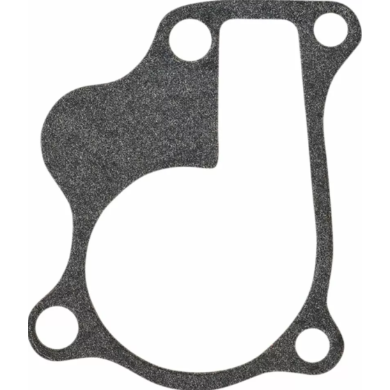 Резервна гарнитура за капака на съединителя BOYESEN GASKET FOR WPK-45A