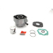 Комплект цилиндър 50cc 101 OCTANE IP43328