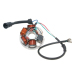 Алтернаторен статор 101 OCTANE IP35648