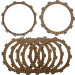 Офроуд феродови дискове за съединител MOOSE RACING M70-5255-8