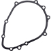 Уплътнение статор KAWASAKI RICK'S MOTORSPORT ELECTRICS 25-213