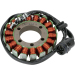 Статор OEM style RICK'S MOTORSPORT ELECTRICS 21-221