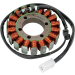 Статор OEM style RICK'S MOTORSPORT ELECTRICS 21-222