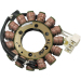 Статор OEM style RICK'S MOTORSPORT ELECTRICS 21-030