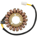 Статор OEM style RICK'S MOTORSPORT ELECTRICS 21-336