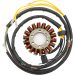 Статор OEM style RICK'S MOTORSPORT ELECTRICS 21-567
