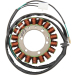 Статор OEM style RICK'S MOTORSPORT ELECTRICS 21-637