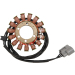 Статор OEM style RICK'S MOTORSPORT ELECTRICS 21-032