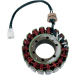 Статор OEM style RICK'S MOTORSPORT ELECTRICS 21-112