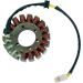 Статор OEM style RICK'S MOTORSPORT ELECTRICS 21-113