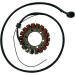 Статор OEM style RICK'S MOTORSPORT ELECTRICS 21-215