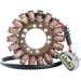 Статор OEM style RICK'S MOTORSPORT ELECTRICS 21-410