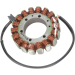 Статор OEM style RICK'S MOTORSPORT ELECTRICS 21-003