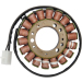 Статор OEM style RICK'S MOTORSPORT ELECTRICS 21-005