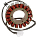 Статор OEM style RICK'S MOTORSPORT ELECTRICS 21-412H