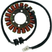 Статор OEM style RICK'S MOTORSPORT ELECTRICS 21-121
