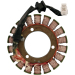 Статор OEM style RICK'S MOTORSPORT ELECTRICS 21-218
