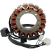 Статор HOT SHOT RICK'S MOTORSPORT ELECTRICS 21-311H