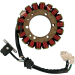 Статор HOT SHOT RICK'S MOTORSPORT ELECTRICS 21-312H