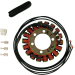 Статор OEM style RICK'S MOTORSPORT ELECTRICS 21-313