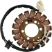 Статор OEM style RICK'S MOTORSPORT ELECTRICS 21-314