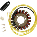 Статор OEM style RICK'S MOTORSPORT ELECTRICS 21-317