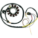 Статор OEM STYLE RICK'S MOTORSPORT ELECTRICS 21-556
