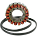 Статор OEM style RICK'S MOTORSPORT ELECTRICS 21-008