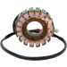Статор OEM style RICK'S MOTORSPORT ELECTRICS 21-010
