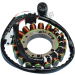 Статор OEM style RICK'S MOTORSPORT ELECTRICS 21-921