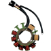Статор OEM STYLE RICK'S MOTORSPORT ELECTRICS 24-003