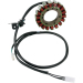 Статор OEM style RICK'S MOTORSPORT ELECTRICS 21-323