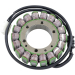 Статор OEM style RICK'S MOTORSPORT ELECTRICS 21-140
