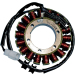 Статор OEM style RICK'S MOTORSPORT ELECTRICS 21-142