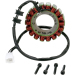 Статор OEM style RICK'S MOTORSPORT ELECTRICS 21-146