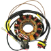 Статор OEM style RICK'S MOTORSPORT ELECTRICS 21-561