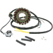 Статор OEM style RICK'S MOTORSPORT ELECTRICS 21-563