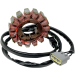 Статор OEM style RICK'S MOTORSPORT ELECTRICS 21-423