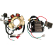 Комплект за зареждане RICK'S MOTORSPORT ELECTRICS 99-601