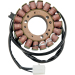 Статор OEM style RICK'S MOTORSPORT ELECTRICS 21-025