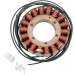 Статор OEM style RICK'S MOTORSPORT ELECTRICS 21-331