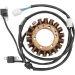 Статор OEM style RICK'S MOTORSPORT ELECTRICS 21-337