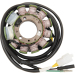 Статор OEM style RICK'S MOTORSPORT ELECTRICS 21-150