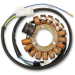 Статор OEM style RICK'S MOTORSPORT ELECTRICS 21-931