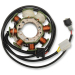 Статор OEM style RICK'S MOTORSPORT ELECTRICS 21-724